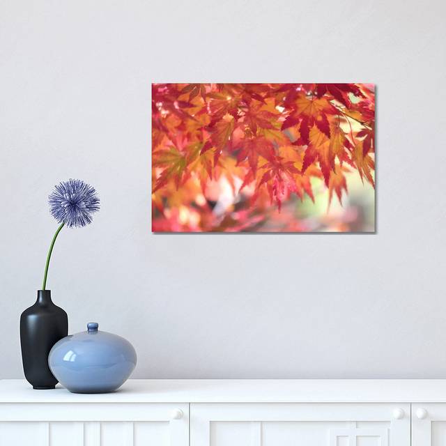 Curtain of Autumn Leaves by Philippe Sainte-Laudy - Wrapped Canvas Photograph (30.48 cm H x 45.72 cm W)