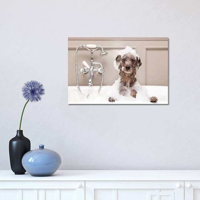 Funny Dog Taking Bubble Bath by Susan Schmitz - Photograph Print on Canvas - Wrapped Canvas (30.48 cm H x 45.72 cm W)