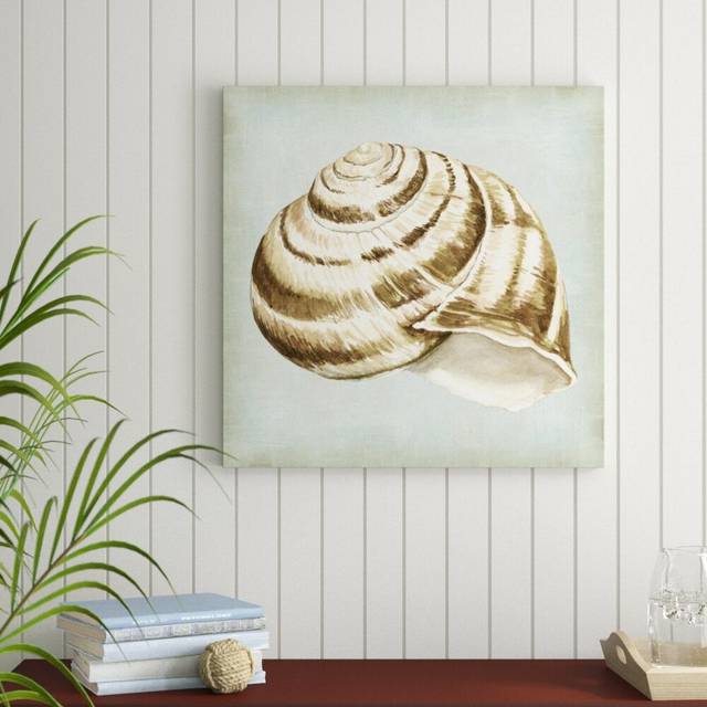 Sea Dream Shells I by Vision Studio - Wrapped Canvas Painting (76cm H x 76cm W)