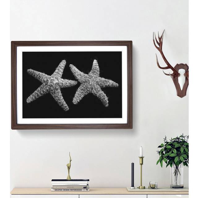 Two Starfish - Picture Frame Graphic Art Print - Walnut Framed (24cm H x 33cm W x 2cm D)