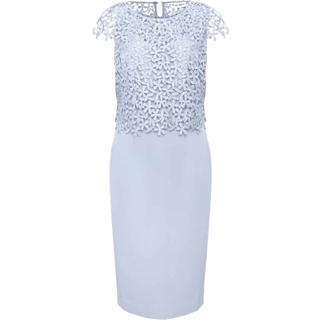 Phase Eight Daisy Textured Bodice Dress
