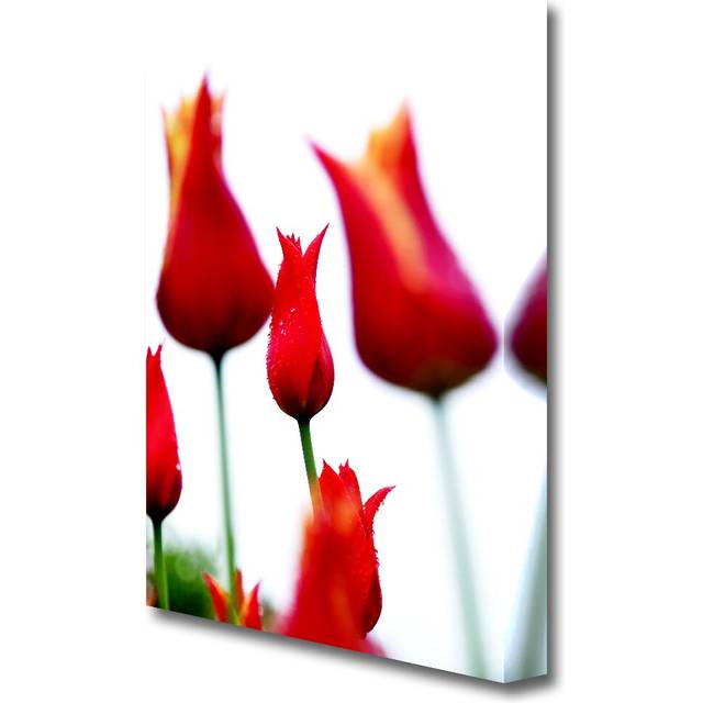 Red Fire Tulip Field Flowers Canvas Print Wall Art (50.8 cm H x 35.6 cm W)