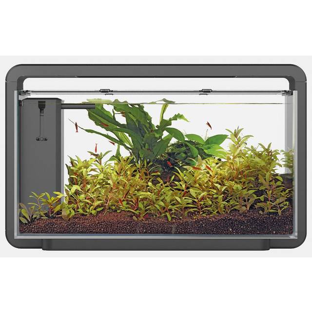 (Black, Home 30) Superfish Home Aquarium with Filter Pump & LED Lighting Easy Setup Fish Tank