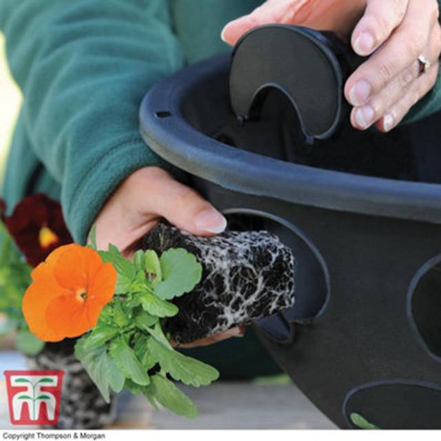 Garden Gear Bloomaround Hanging Basket 30cm 2 Pack - Black - 20 x 30 x 30cm