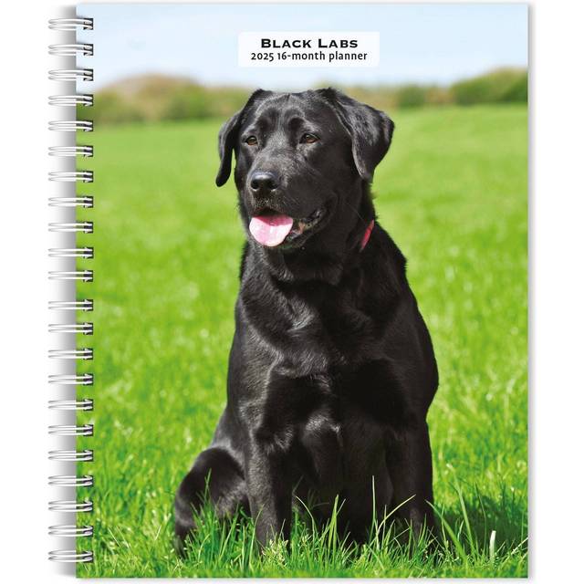 Labrador Retrievers Black 2025 Engagemen