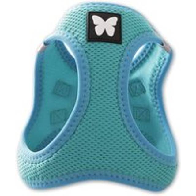 Mesh harness for dogs Martin Sellier - Bleu