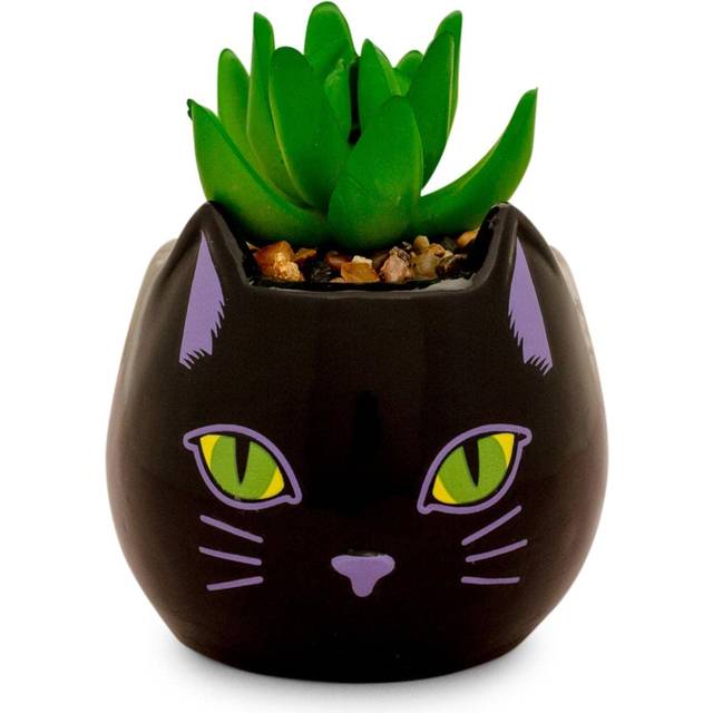 Disney Hocus Pocus "Binx Is My Boo" Ceramic Planter with Artificial Succulent