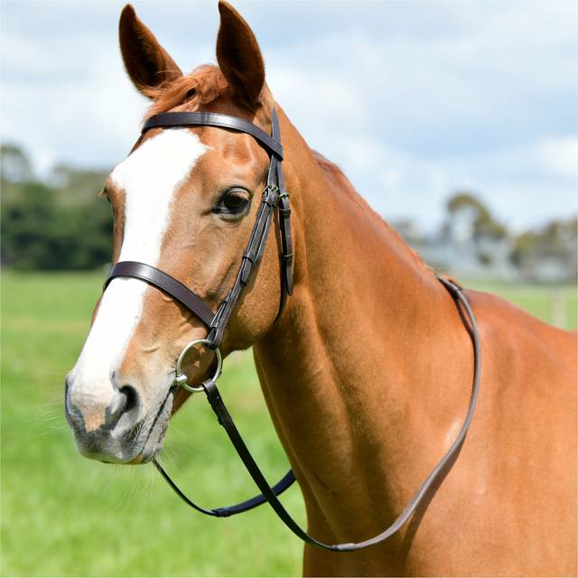 Kincade Classic Flat Hunt Bridle With Reins Colour: Brown, Size: Cob