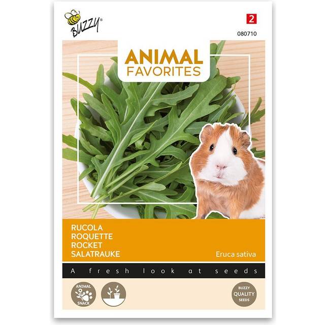 Buzzy Rucola frø til dyrefoder