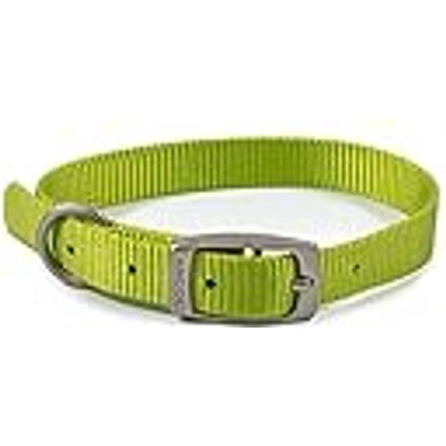 Ancol Viva Dog & Puppy Buckle Collars Nylon Lime 5 Sizes - X-Small