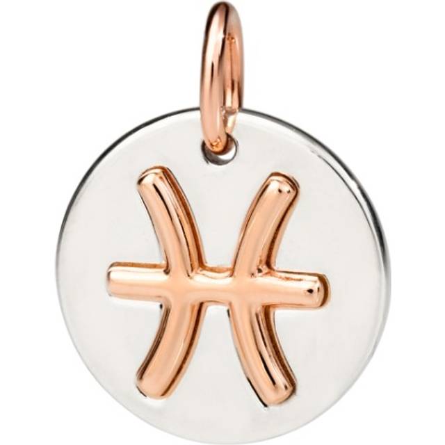 SILVER & ROSE GOLD PISCES CHARM