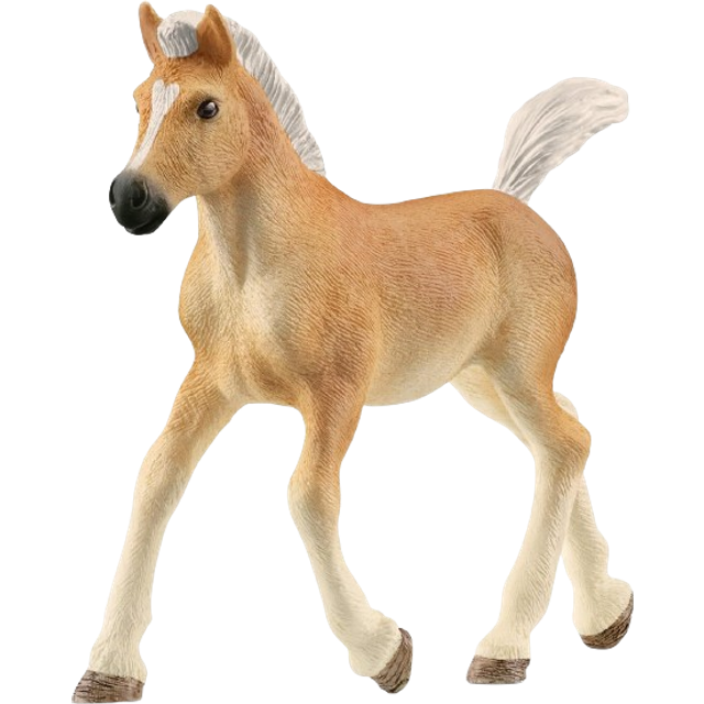 Schleich Haflinger Foal, Multi Coloured