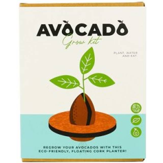 Avocado Grow Kit