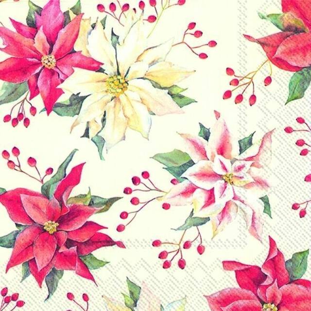 Isabelle White Poinsettia Christmas Paper 33cm Square Lunch Napkins 20 Pack