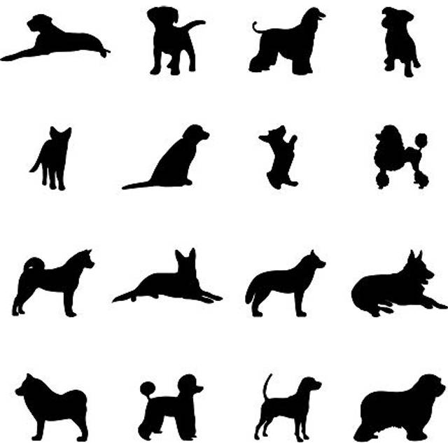 A Room with Dogs Wall Decals-Doggie Stickers for Kids Room Bedroom Nursery Playroom D?cor