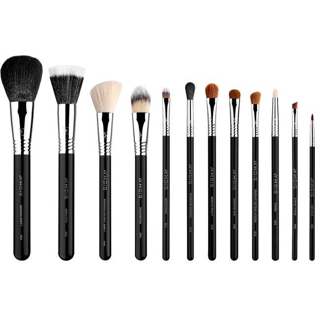 Sigma Essential Brush Set
