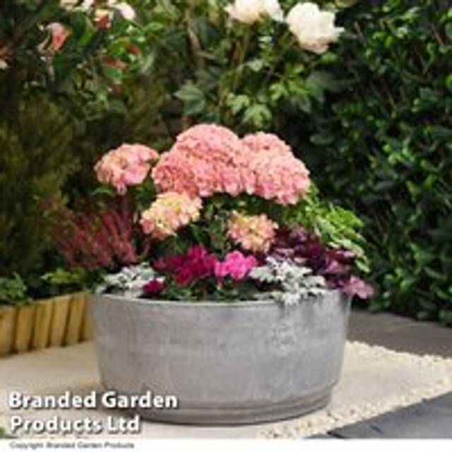 Garden Gear Marble Caesar Bowl Planter 34.5cm 2 Pack - Grey - 34.5 x 34.5 x 15.5cm