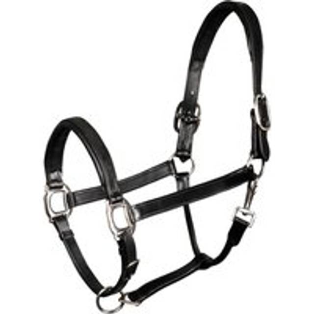 Padded leather halter for horses Harry's Horse - Noir