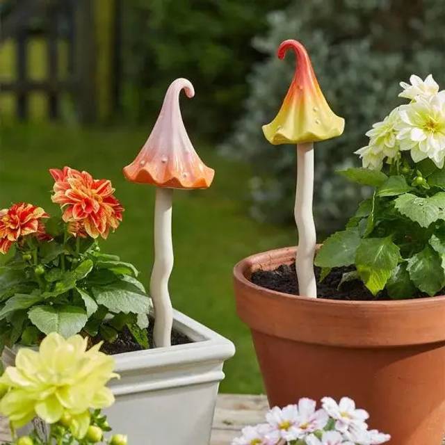Wizard&#039;s Hat - Large (Mixed Display)