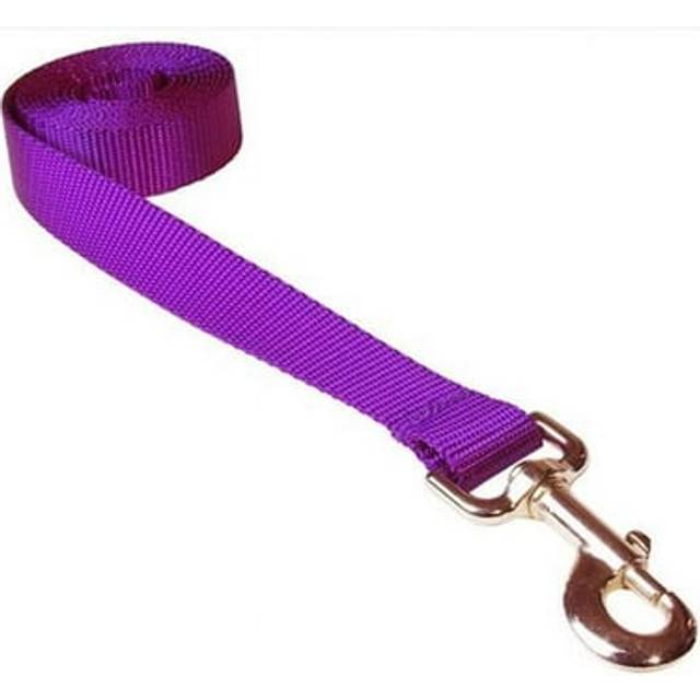 Sassy Dog Wear SOLID PURPLE MED-L 6 ft. Nylon Webbing Dog Leash, Purple - Medium