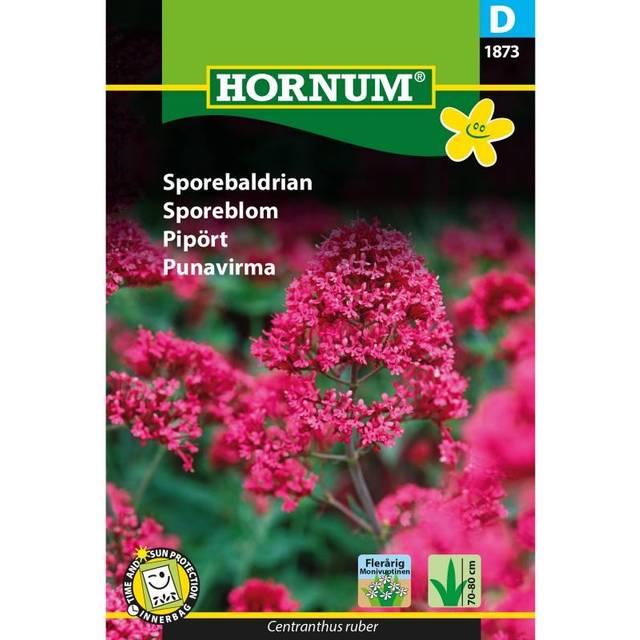 Hornum Sporebaldrian