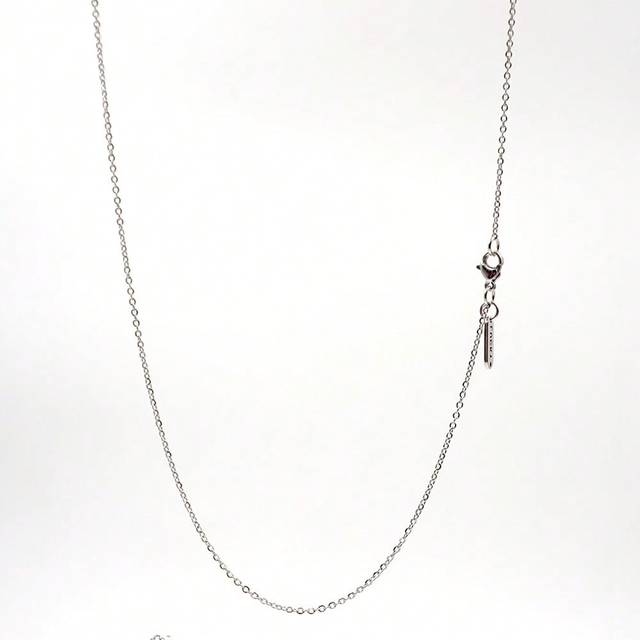 SHEIN 1pc Fashionable Simple Stainless Steel Solid Link Titanium Steel Long Necklace, Suitable For Women Everyday Wear