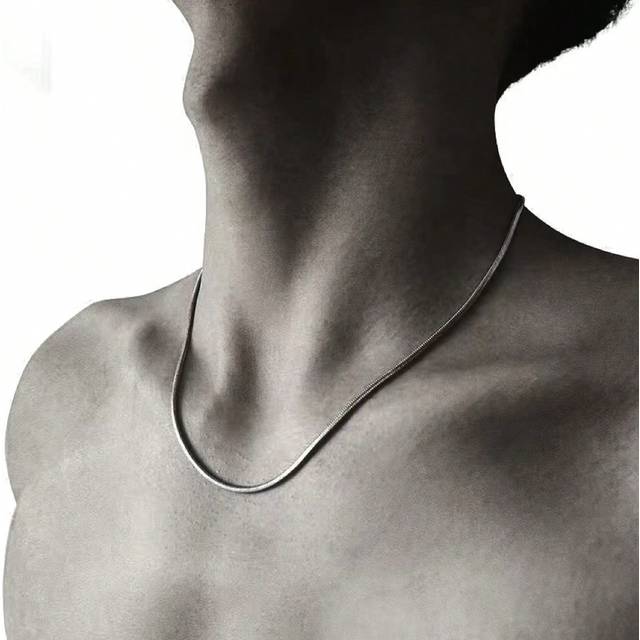 SHEIN 1pc Titanium Steel Snake Bone Chain Necklace Fashionable And Durable, Ideal Gift For Men&#39;s Jewelry Party And Graduation Season, Suitable For Layering