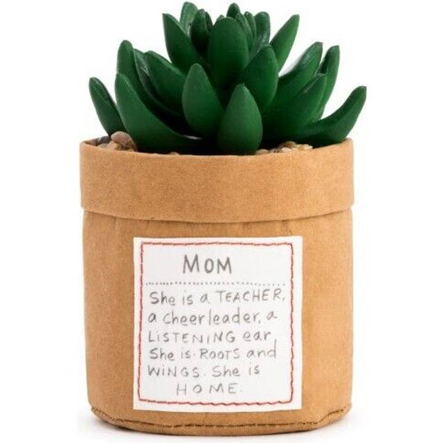 Demdaco Faux Succulent Sentimental Message Plant Kindness - Courage