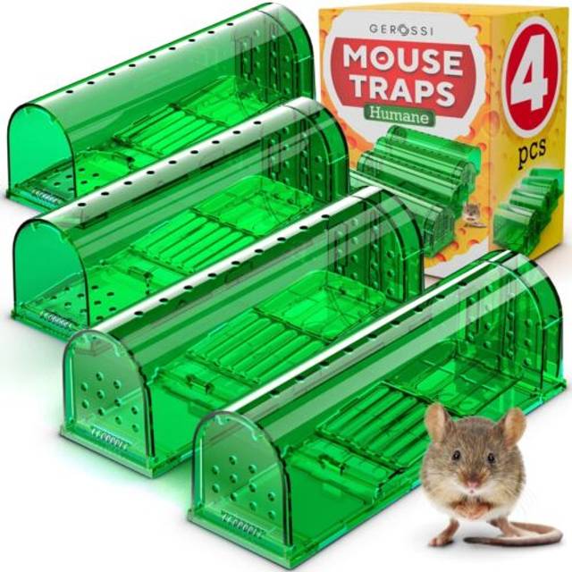 The Big Cheese Rat Cage Trap (Humane, Live-Catch Trap, Use Indoors and Outdoors in Gardens)