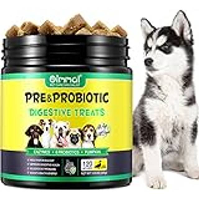 IFUDOIT Probiotics for Dogs Chews 120 Count, Dog Probiotic Supplements with Digestive Enzymes Gut Flora, Health, Allergy