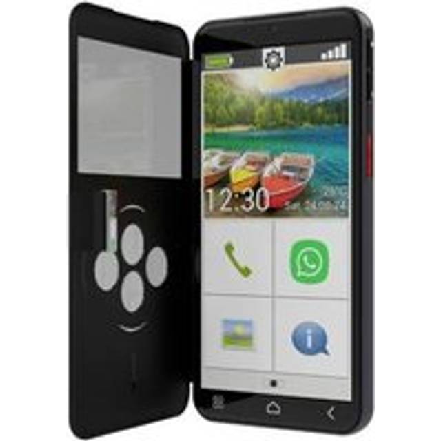 Emporia emporiaSMART.6lite 13.8 cm (5.45") Android 13 4G USB Type-C 6 GB 128 GB 3600 mAh Black, Silver
