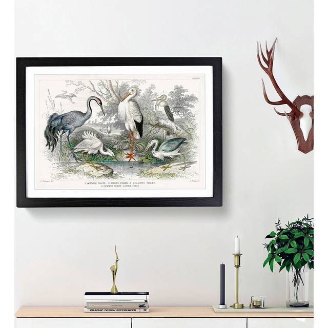 Crane, Stork, Egret & Heron by Oliver Goldsmith - Picture Frame Painting Print - Black Framed (27cm H x 36cm W x 2cm D)