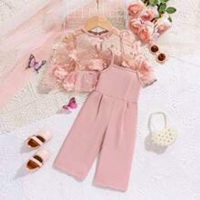 Baby Girl Sommar Blommor Patch Kontrast Mesh Långärmad Topp Elastisk midja Solid Jumpsuit Set, Lämplig för sommaren - Rosa (6-9M,9-12M,12-18M,18-24M,2-3Y)