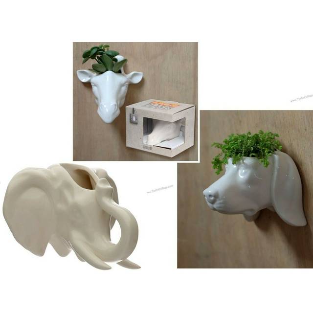 Wall planters face plant pot holders elephant designs ceramic heads
