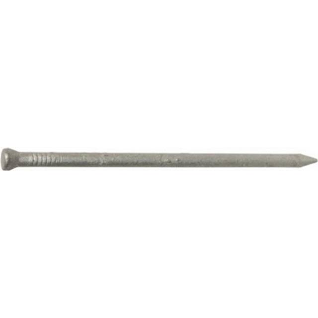 461306 2.5 in. 8D Hot Dipped Galvanized Nail