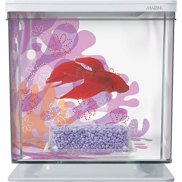 Marina Flower Akvarium för kampfisk (Betta), komplett set