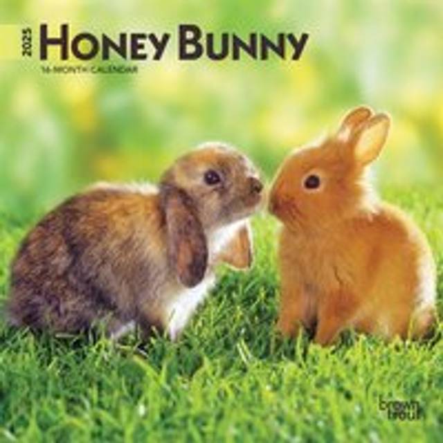 Honey Bunny Mini Calendar 2025