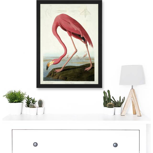 Painting Nature Audubon American Flamingo Picture Framed Rectangle Paper - Brown;White;Pink (45.5cm H X 33cm W)