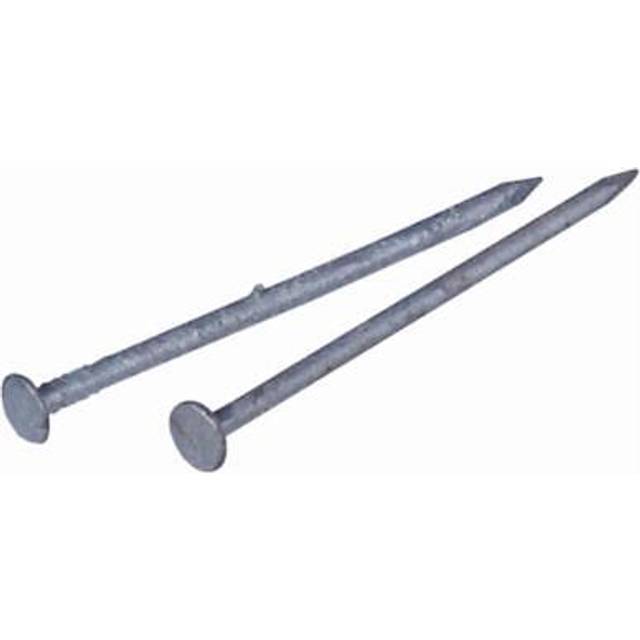 461281 2.5 in. 8D Galvanized Common Nail