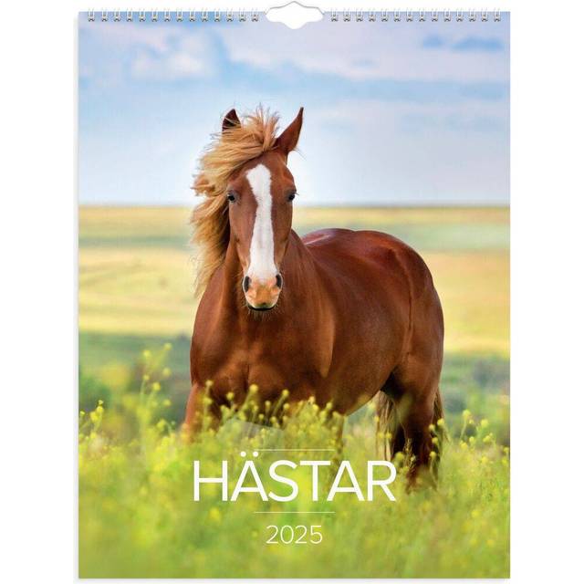 Stora Hästkalendern 2025