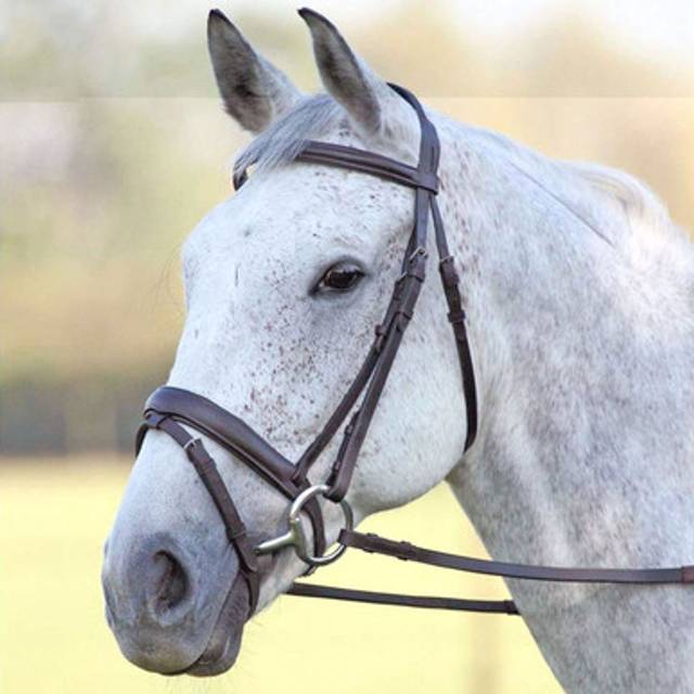 Shires Velociti GARA Comfort Fit Bridle - Havana / Pony