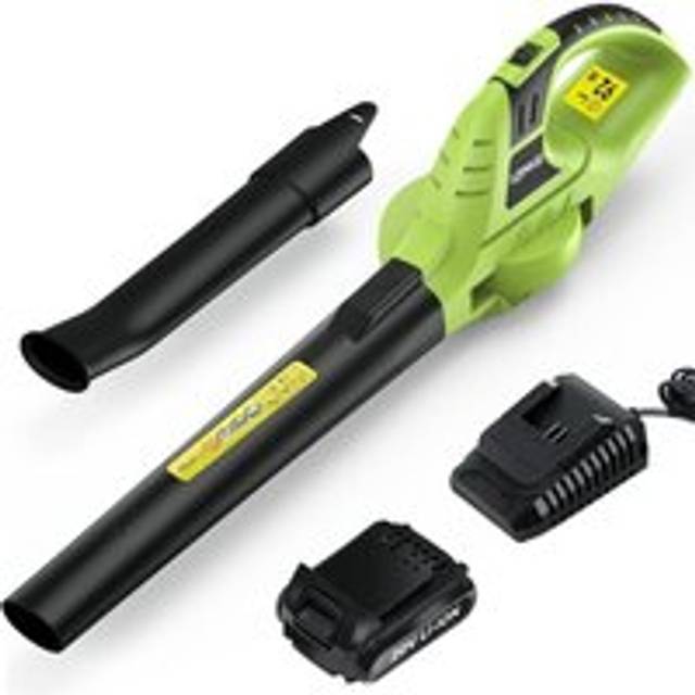 Bigzzia - Cordless Leaf Blower Electric Garden Blower with 20V Battery 1 Charger 2-Speed Modes 2 Detachable Tubes, 3.3 ibs Lightweight Design, 209CFM