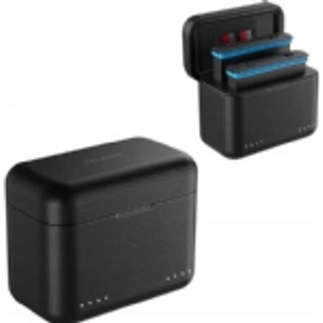 TELESIN For Insta360 X3 X4 Battery Charger Portable Charging Case TF Card Storage Box Charging Hub