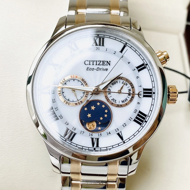 Citizen Men S Metal Watch moonphaSe Ap1054 80a AP1054-80A