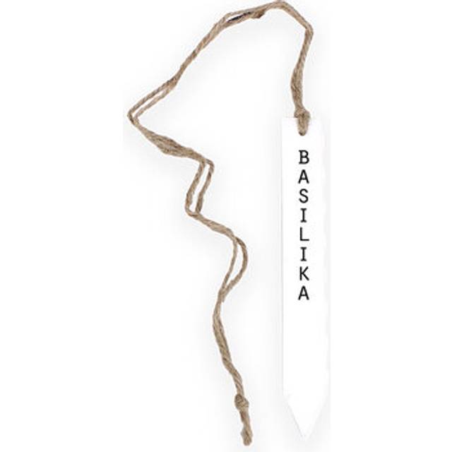Odlingssticka Basilika