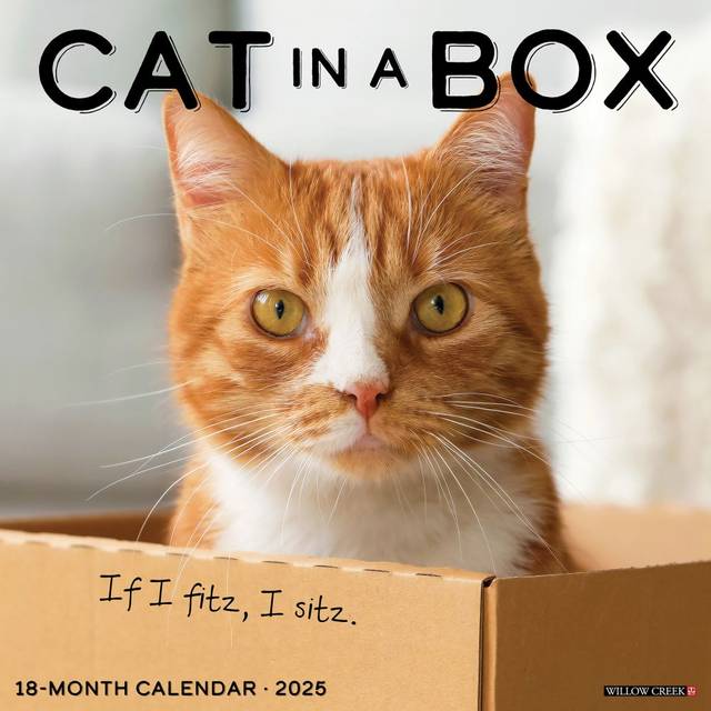 Cat In A Box 2025 Wall Calendar