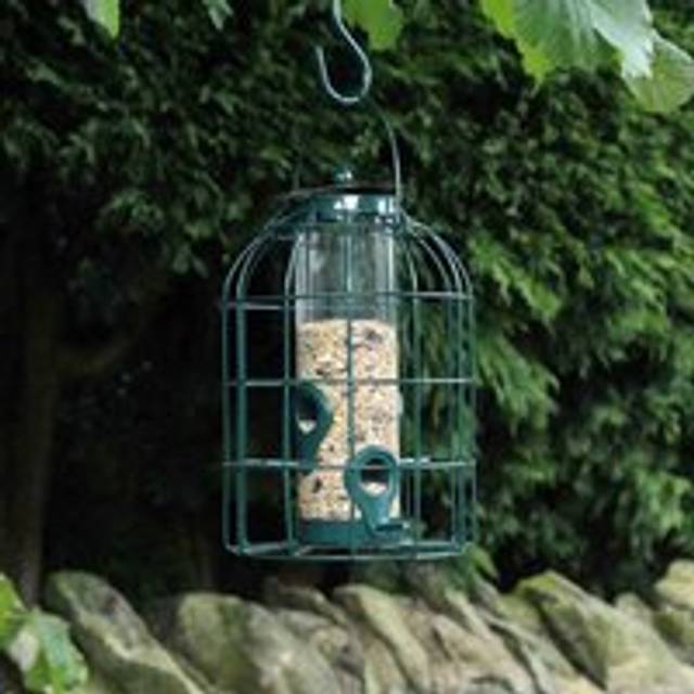 Pack of 2 Wild Bird Seed Feeder Cage with Squirrel Guard