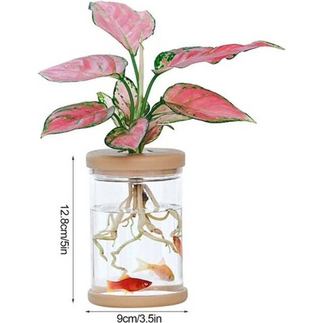 (B) Mini Hydroponic Flower Pot Home Vase Decor Transparent Imitation Glass Soilless Plant Pots