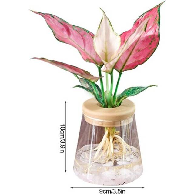 (A) Mini Hydroponic Flower Pot Home Vase Decor Transparent Imitation Glass Soilless Plant Pots