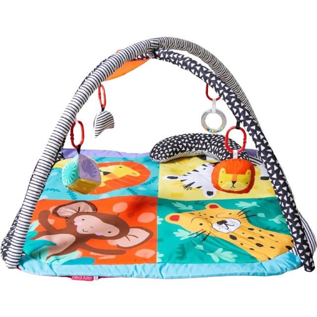 Red Kite Play Gym - Wild Safari